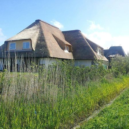 Haus-Duewelswarft-Whg-Delphin Apartamento Sankt Peter-Ording Exterior foto